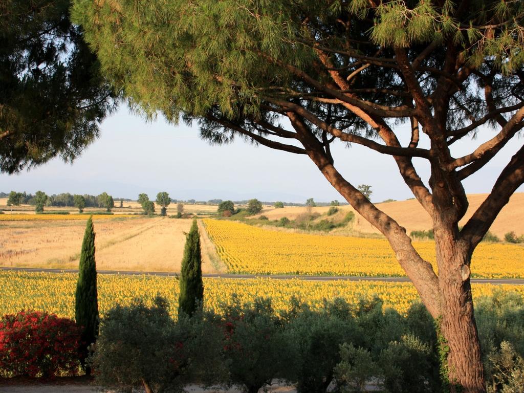 Agriturismo Peretti Fonteblanda Eksteriør billede