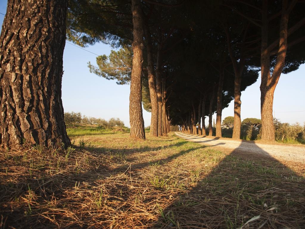 Agriturismo Peretti Fonteblanda Eksteriør billede